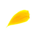 https://www.zefixflyfishing.de/wp-content/uploads/2021/11/Banana_Yellow.jpg